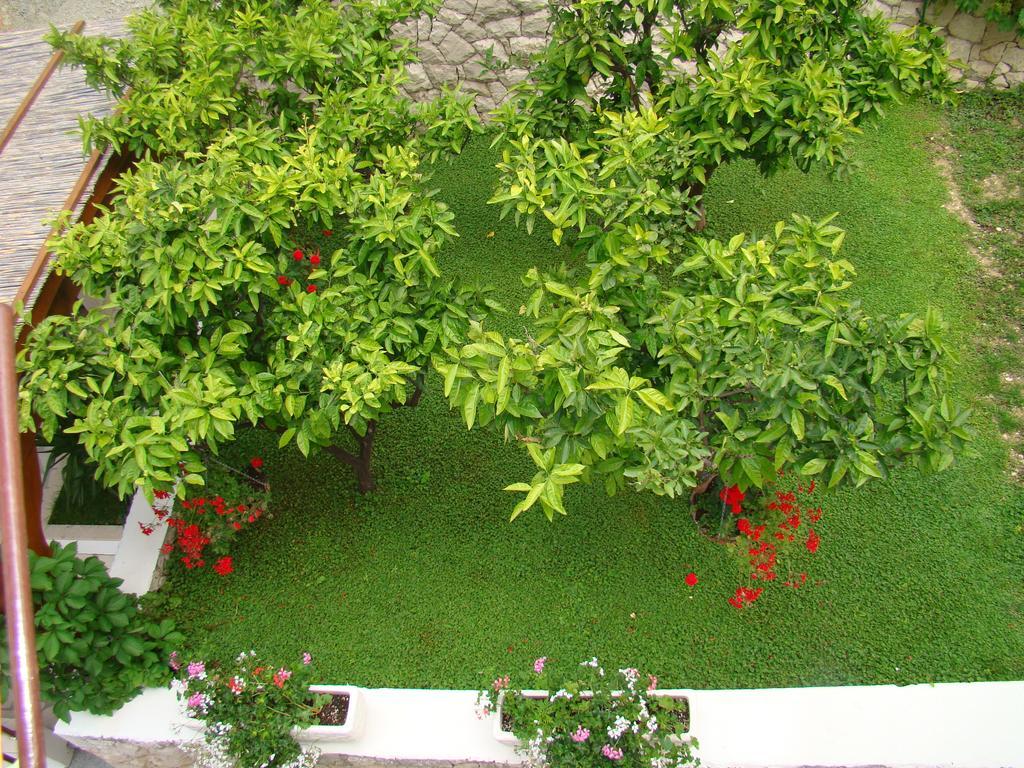 Apartments Villa Sunce 杜基拉特 外观 照片